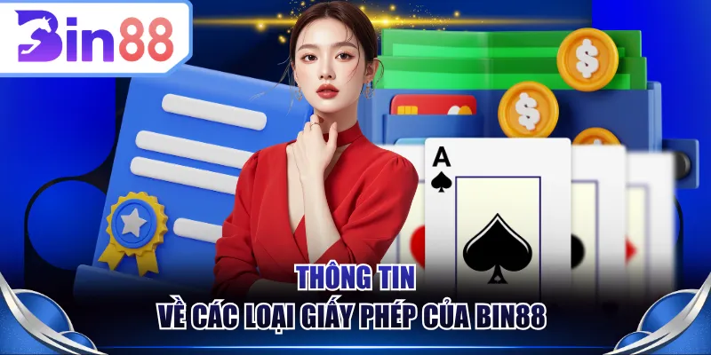 Thông tin về các loại giấy phép của BIN88